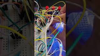 Celebrity Step 9: Overflow Detection Unsigned/Signed Net Worth