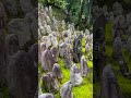 #love #travel #viral #explore #kyoto #japan #japantravel #aesthetic #viralvideo #best #bestmoments