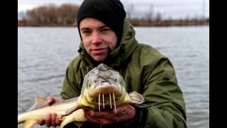 Benzar Ready Groundbait Method Etetőanyag Tintahal-Polip 800G videó