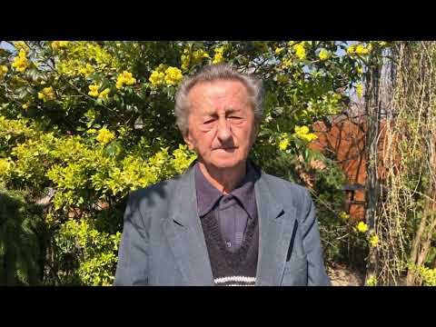 Video: Používání Potašových Hnojiv (část 3)