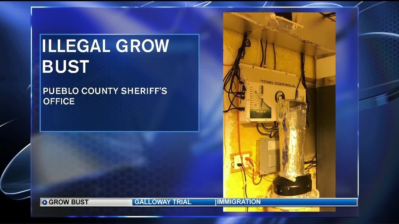 Pueblo County deputies bust illegal marijuana grow - YouTube