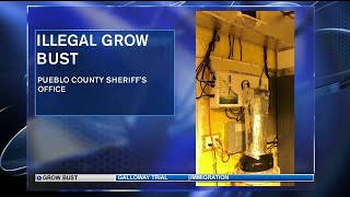 Pueblo County deputies bust illegal marijuana grow