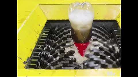 Tortoise vs Shredder Machine कछुए के सुरक्षा कवच की ताकत #shorts #shredderMachine #tortoiseshell