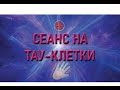 Сеанс на Тау клетки 15 08 20