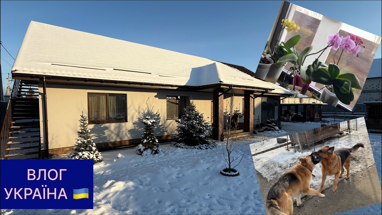 Що нового? Помідори на розсаду 👍