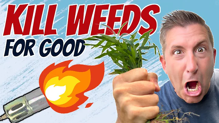 KILL LAWN WEEDS - safely and quickly | Fire Vs. Chemical