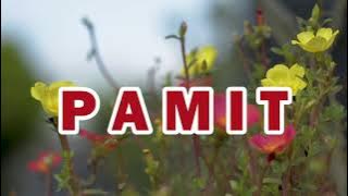 Karaoke Broery M - PAMIT