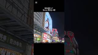 #칭다오 #칭다오1박2일 #에어로케이 #칭다오청주출발 #여행