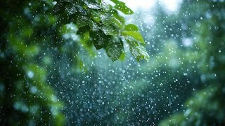 Relaxing sound of rain .a stormy day. Portugal Coimbra Portugal