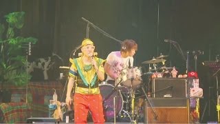 ハナレグミ・So many tears - オハナレゲエ 【ライブCD『どこまでいくの実況録音145分』より】