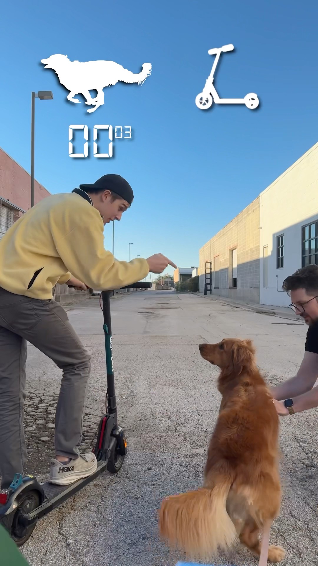 My Dog vs Tesla