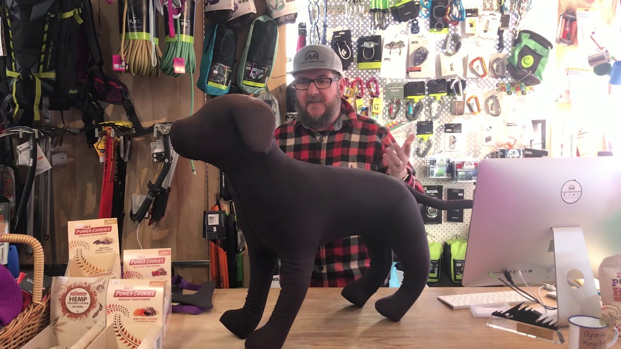 How to measure your dog for a Ruffwear Dog Harness - YouTube