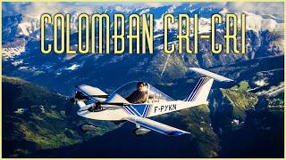 Colomban Cri-Cri: The World’s Smallest Twin-Engine Aircraft