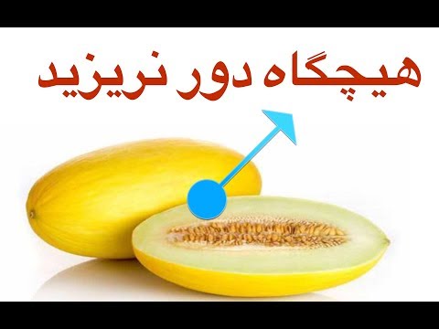 خواص پوشال های بین دانه خربزه