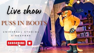 Fortune Revealed?! | 🔮🐱 Puss in Boots Live at Universal Studios Singapore