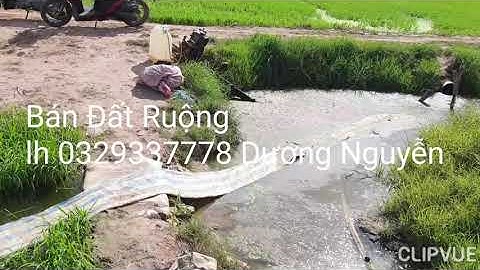 Nhà Đất Bán Đất Ruộng vườn 17 Công Giá 50tr/Công Kiến Tường LA