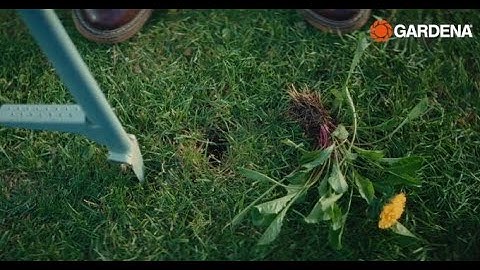 Control Weeds with Care | GARDENA