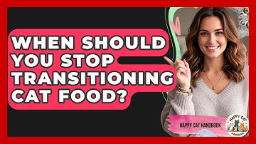 When Should You Stop Transitioning Cat Food? - Happy Cat Handbook