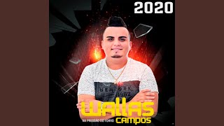 Falta de Amor