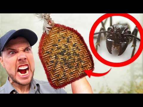 BULLET ANT GLOVES!? The Most PAINFUL Insect Rituals Ever Documented