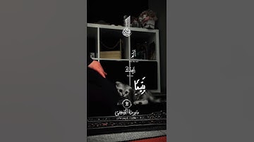 سورة الضحى #الصلاة #قرآن #صلوا_على_النبي #لايك #احاديث #funny