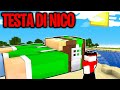 SONO ENTRATO NELLA TESTA DI NICO SU MINECRAFT