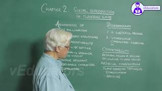 _Molecular Basis of Inheritance_2 Gene expression - translation