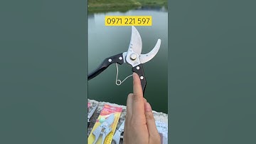 Mua 1 tặng 2, kéo cắt cành v9 thép sk5 Japan chất lượng giá rẻ bất ngờ
