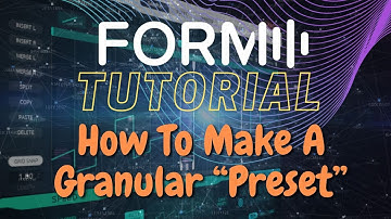NI Form: How to Make a Granular "Preset"