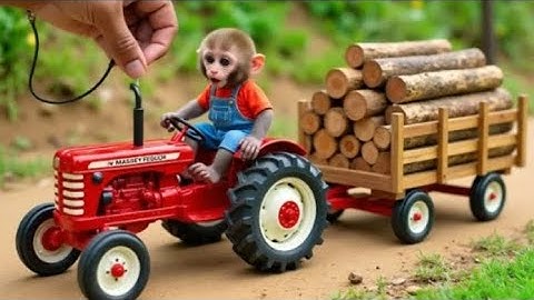 Monkey NaNa drives a tractor loaded with firewood through muddy road and uses her wits repair road