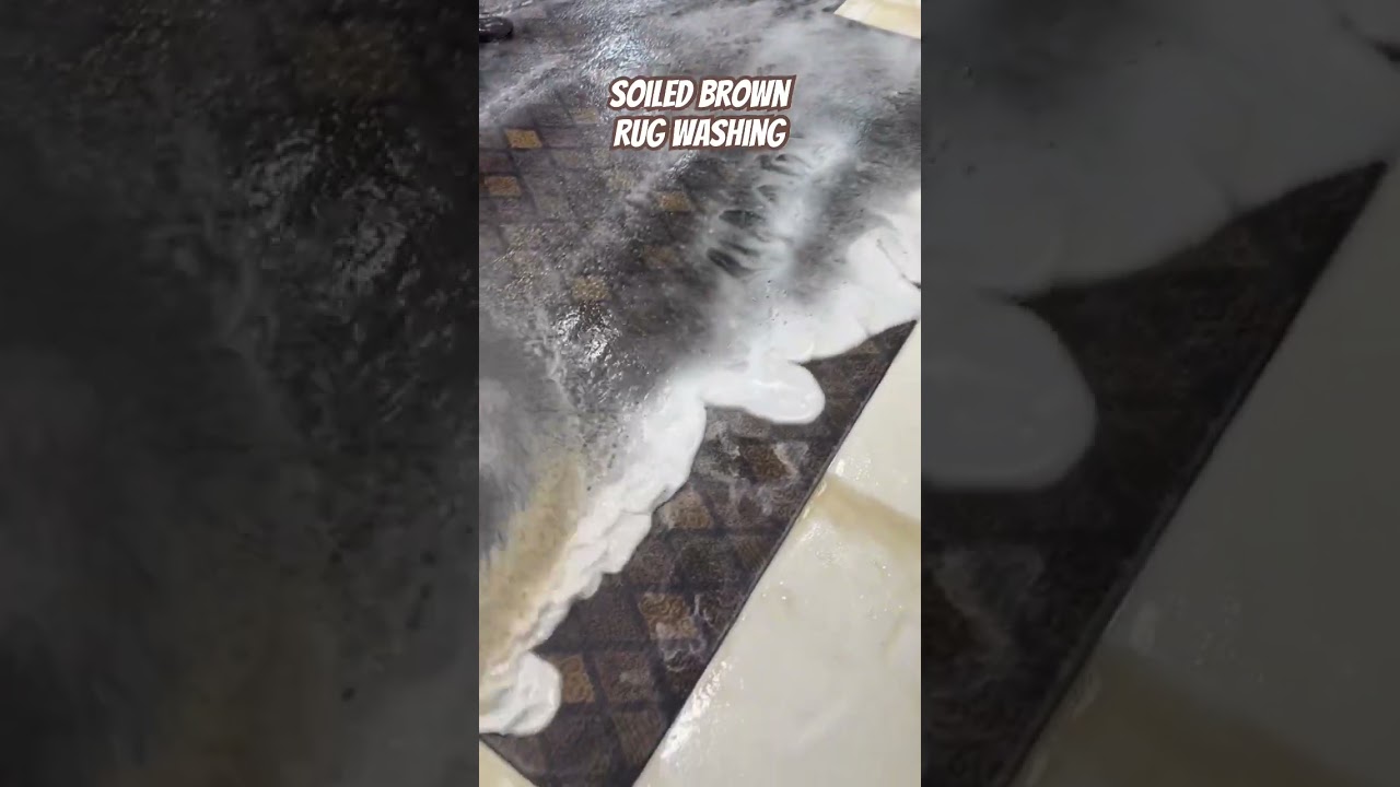 Let's wash these SOILED Brown Rugs!