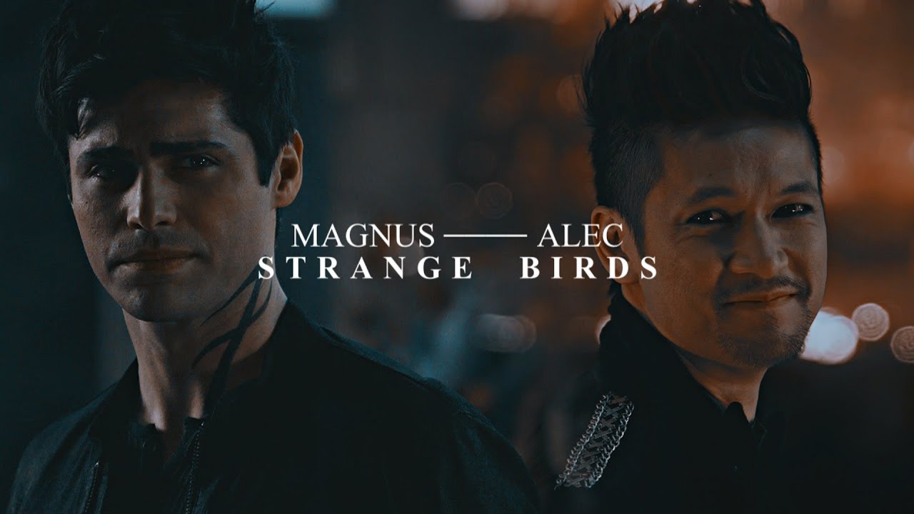 Magnus & Alec | Strange birds