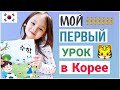 Дистанционное обучение в Корее/ Учебники первоклашек/ KOREA VLOG/