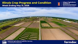 Illinois Crop Progress & Condition Report | May 31, 2026