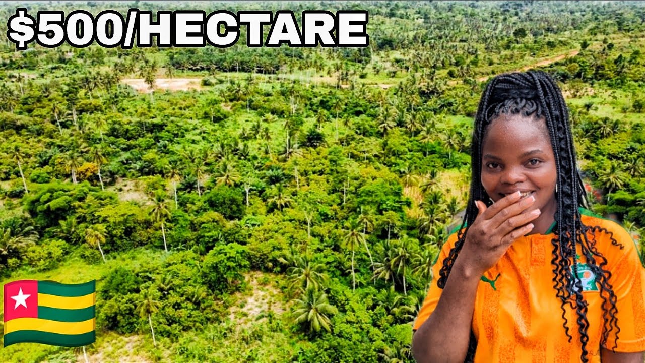 ПОКУПКА ДЕШЕВЫХ СЕЛЬСКОХОЗЯЙСТВЕННЫХ УГОДИЙ В ТОГО ДЛЯ ВЫРАЩИВАНИЯ ФРУКТОВ. ЧТО НУЖНО ЗНАТЬ ПЕРЕД...