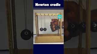 Newton’s Cradle in Action | Physics You Can Feel ⚖️ HTDS #Shorts #htds