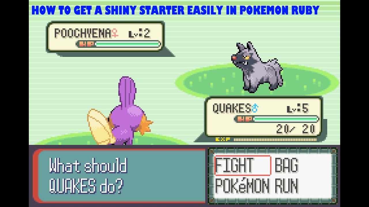 HOW TO RNG YOUR TRAINER ID AND SECRET ID FOR A SHINY STARTER IN POKEMON