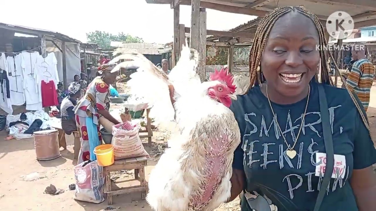 CHRISTMAS PREPARATIONS 