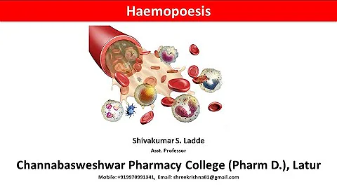 11_Haemopoiesis