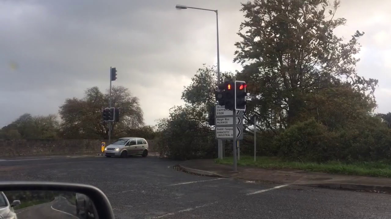 Limerick Annacotty tree down 16.10.2017