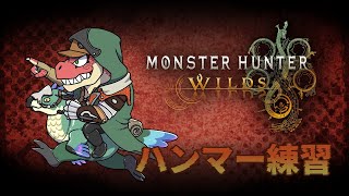 【モンスターハンターワイルズ】ハンマーを練習します。　※ネタバレ注意！【Vtuber】