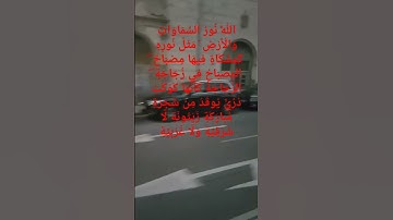 سورة النور للمقريء بلال دربالي