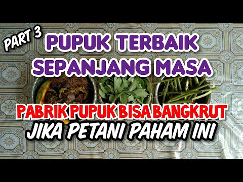 Video: Kami Menyiapkan Pupuk Sendiri. Bagian 3