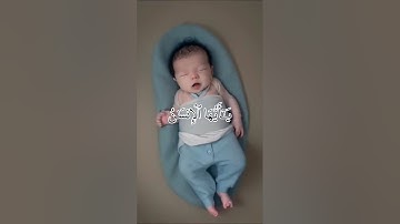 سورة الانفطار الآية 6 قرآن كريم #قران_كريم #لايك #الفيديوهات_المقترحة