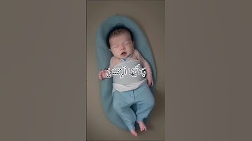سورة الانفطار الآية 6 قرآن كريم #قران_كريم #لايك #الفيديوهات_المقترحة