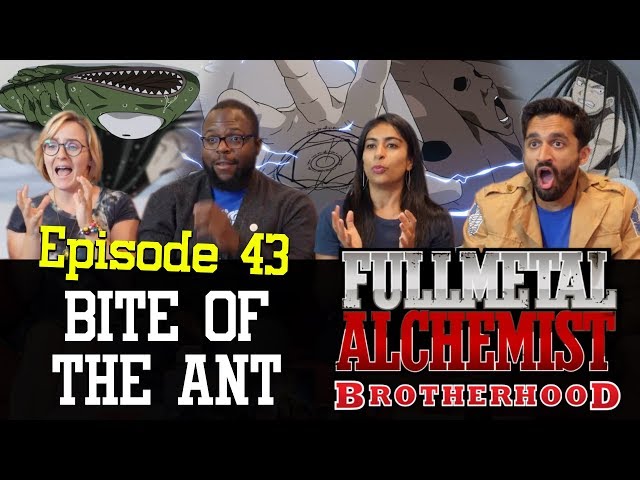 Watch Fullmetal Alchemist: Brotherhood Season 1 Episode 43 - Bite of the  Ant Online Now