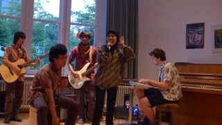 Nawarumi - Jamaica's Away (Souljah) at Sommerfest ESG-KHG Braunschweig 2013