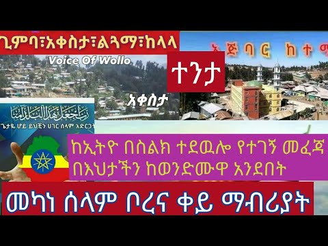 ቪዲዮ: ትኩስ በለስን እንዴት እንደሚመረጥ