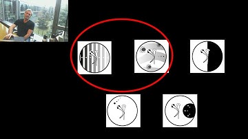 Sensorimotor Processing, Decision Making, and Internal States...