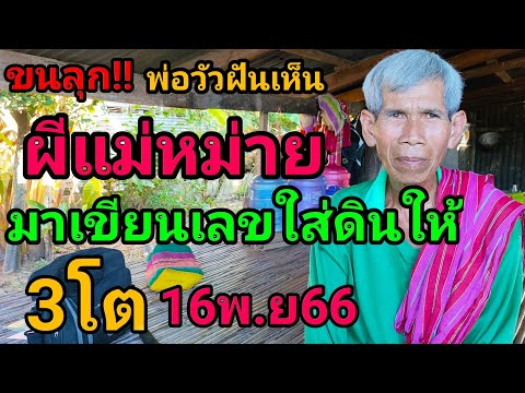 #ขนลุก!!#พ่อวัวฝันเห็น#ผีแม่หม่ายมาเขียนเลขใส่ดินให้3โต16พ.ย66